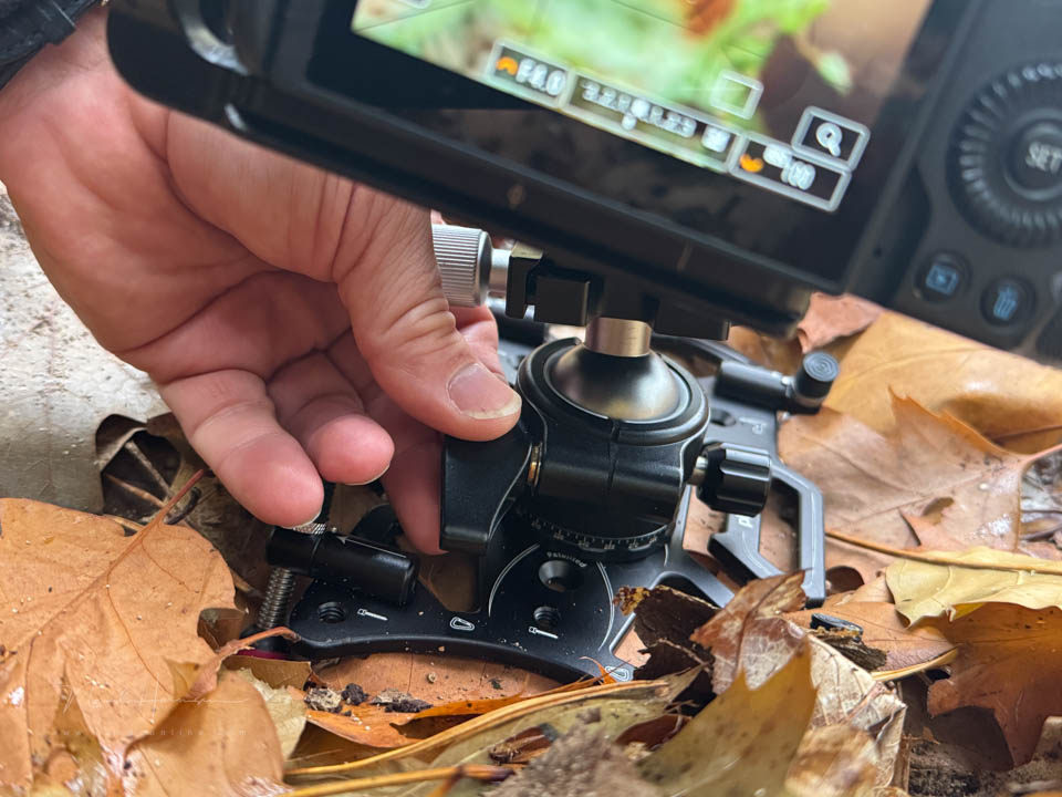 Nando platypod review 5