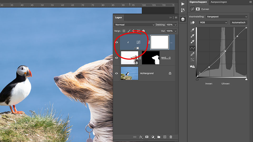 Nando ps masker uitknipmasker