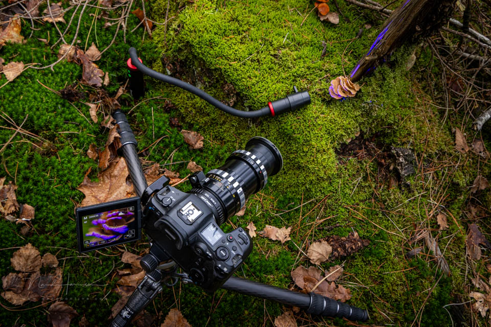 Nando smallrig rm3 review 22 Nando smallrig rm3 review 22