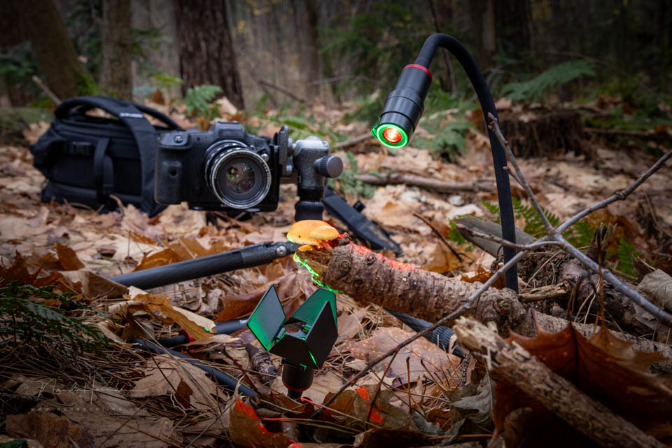 Nando smallrig rm3 review 27 Nando smallrig rm3 review 27