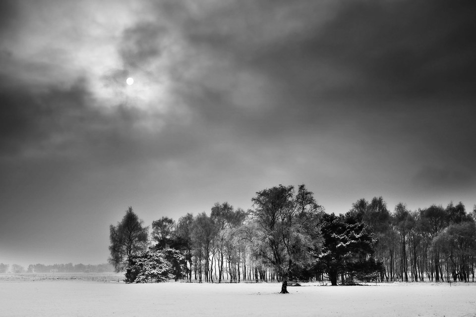 Nando sneeuwlandschap zwartwit