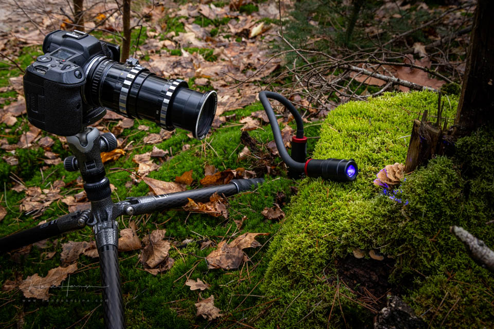 Nando steinheil macro quinar 6 Nando steinheil macro quinar 6