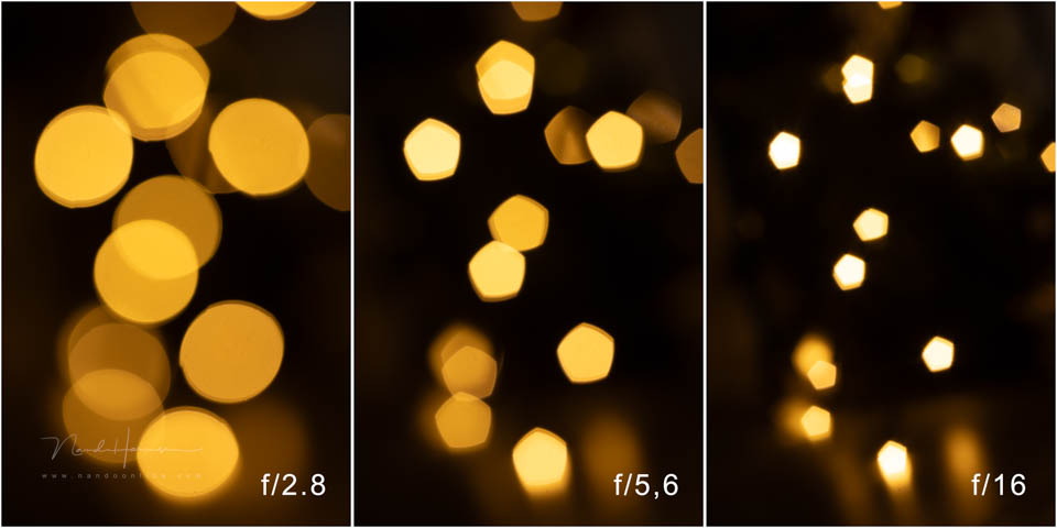 Nando steinheil macro quinar 8 Nando steinheil macro quinar 8