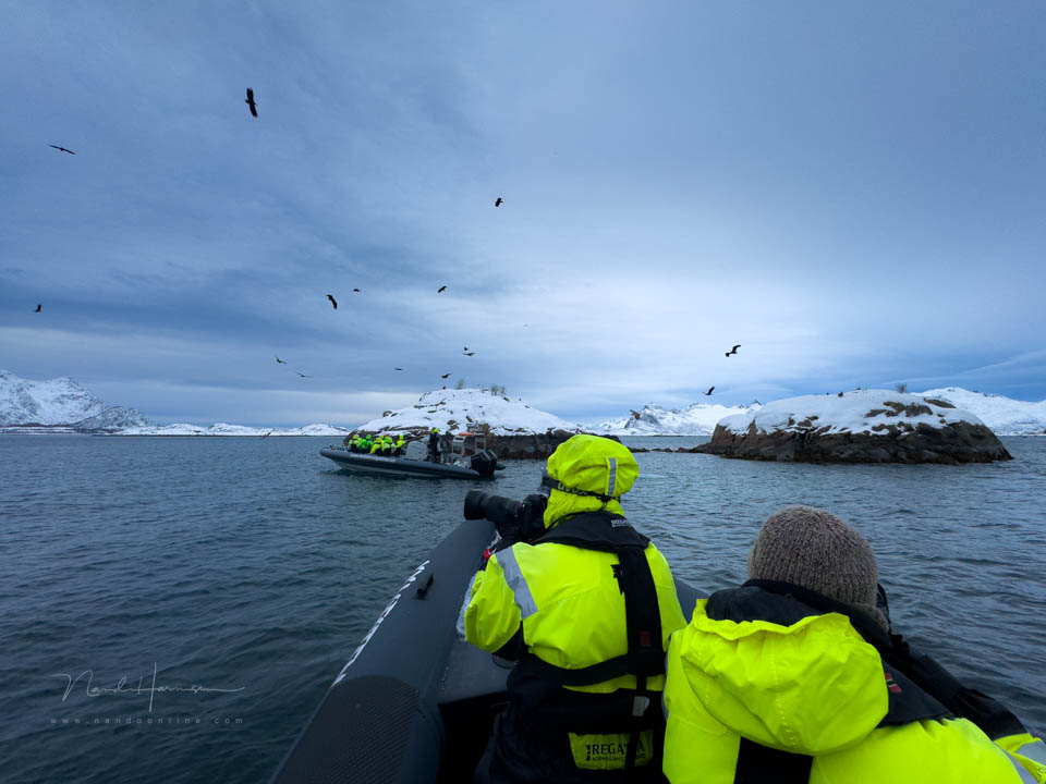 Nando trollfjord arenden