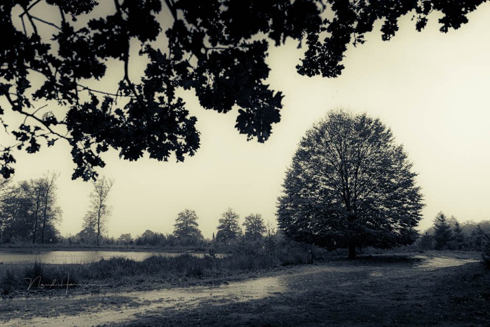 Nando vul de lucht 2