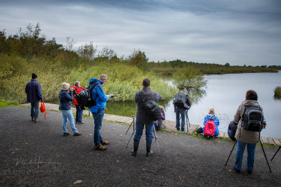 Nando workshop groote peel