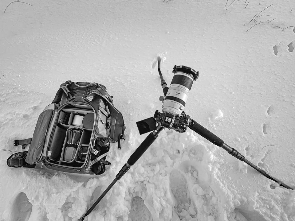 Nando fotorugzak sneeuw Nando fotorugzak sneeuw
