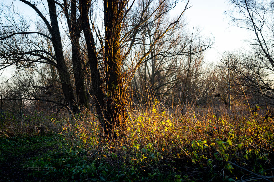 Nando helios 44 beelden 13 Nando helios 44 beelden 13