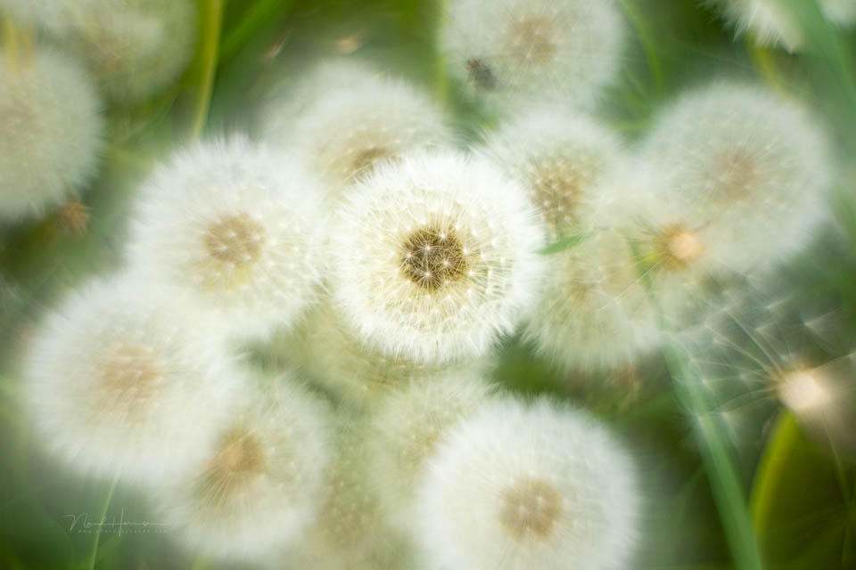 Nando helios 44 beelden 3 Nando helios 44 beelden 3