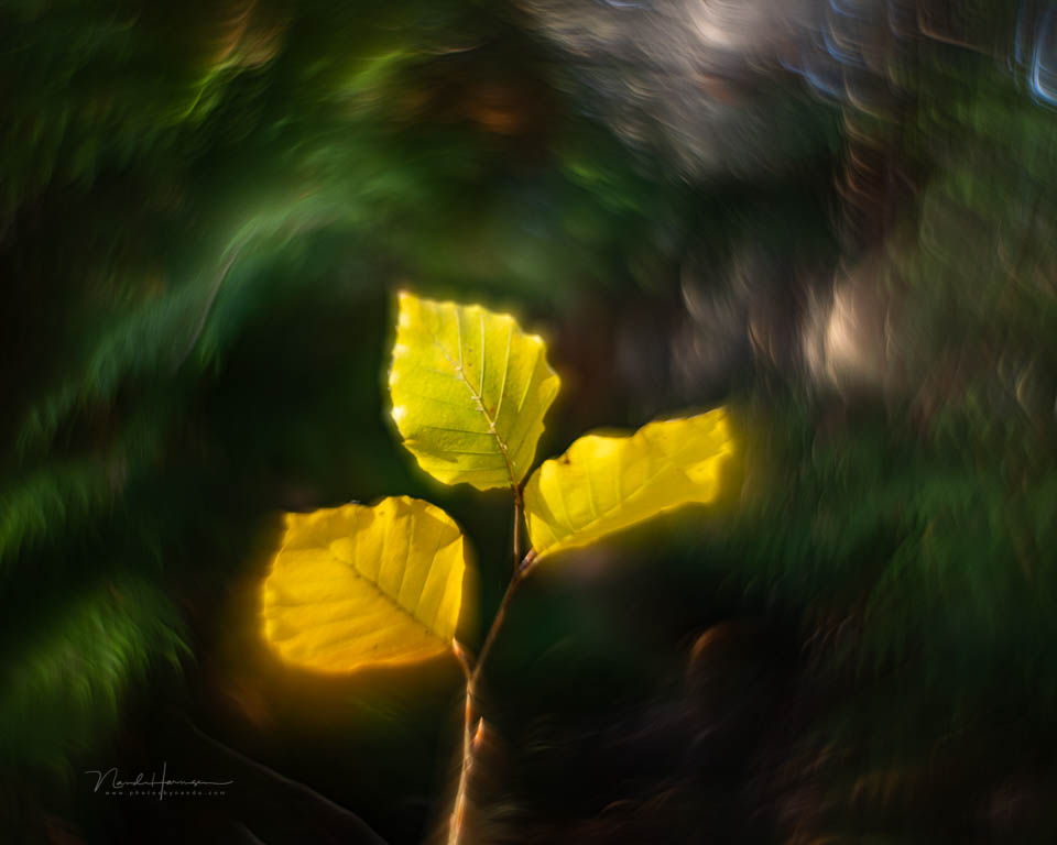 Nando helios 44 beelden 7 Nando helios 44 beelden 7