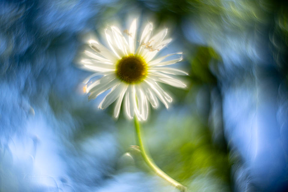 Nando helios 44 beelden 8 Nando helios 44 beelden 8