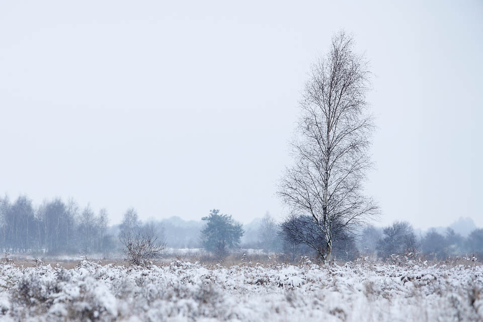 Nando landschap regel derden onzin 2