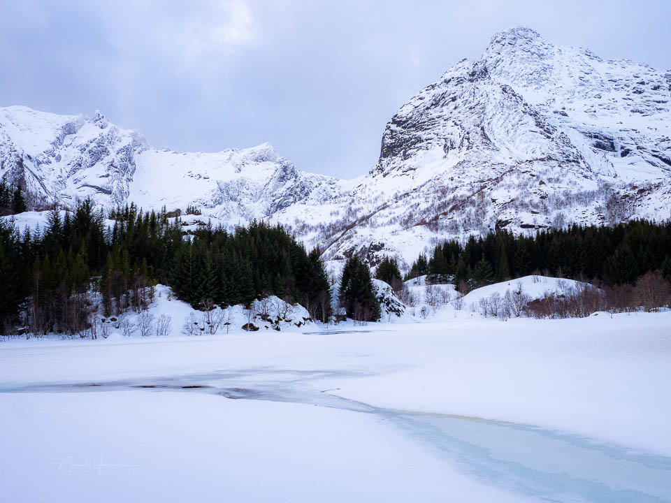 Nando lofoten 2026 olympus 5 Nando lofoten 2026 olympus 5