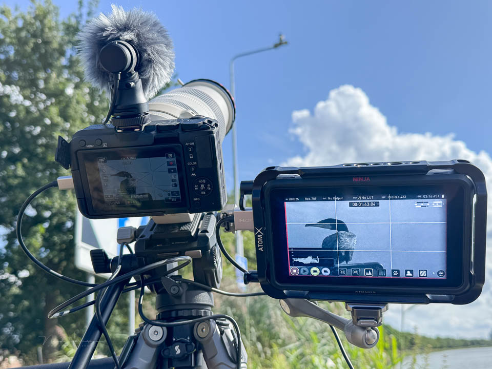 Nando smallrig PJ tribex SE atomos Nando smallrig PJ tribex SE atomos