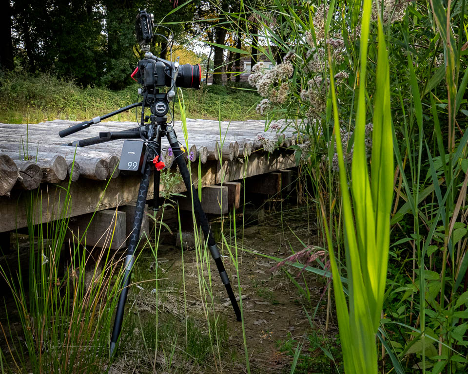 Nando smallrig potatojet se in het wild Nando smallrig potatojet se in het wild
