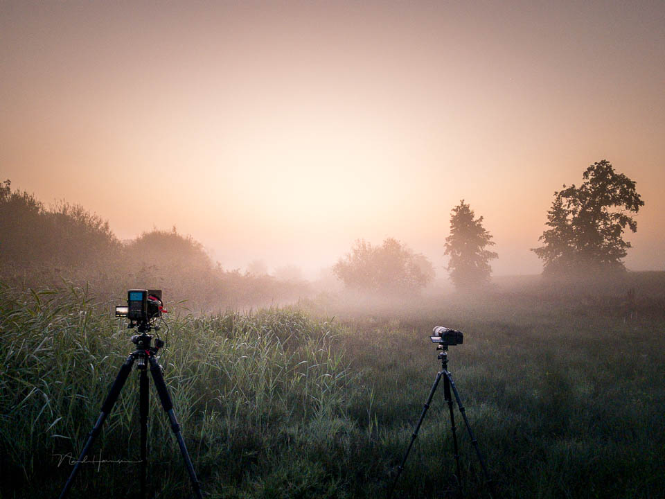 Nando timelapse maken