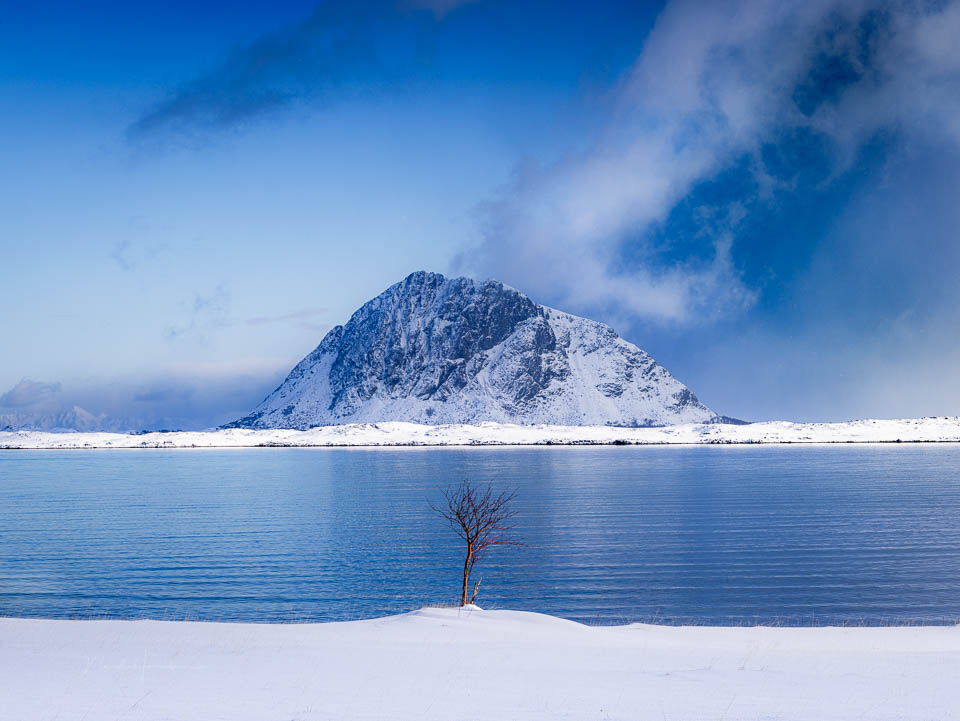 Nando voor en achtergrond lofoten