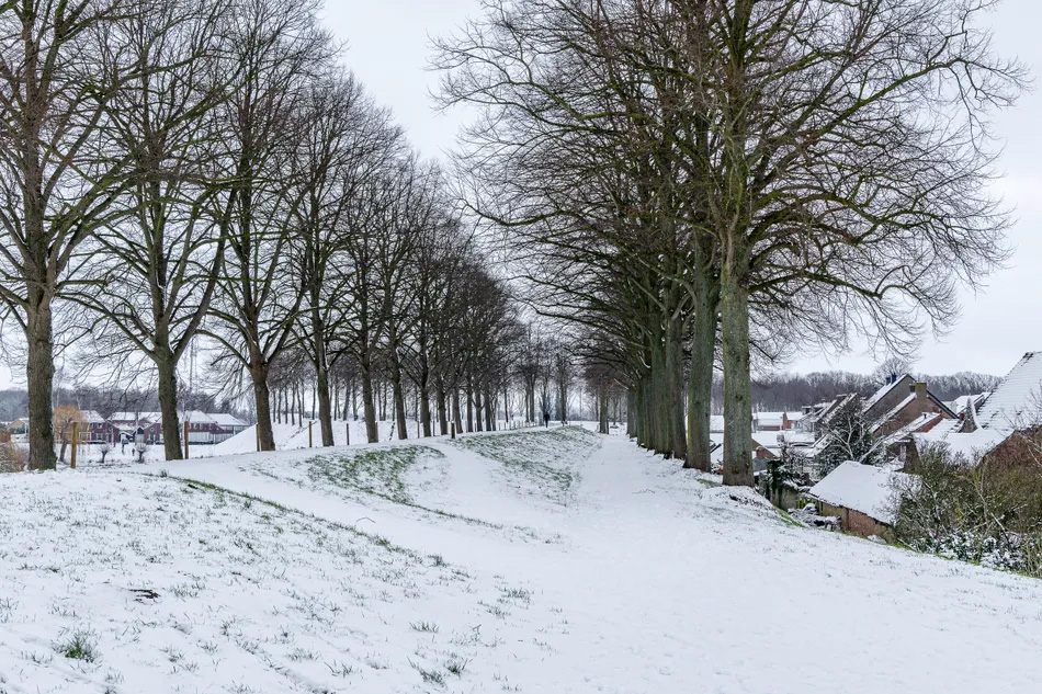 Piet sanders Piet sanders