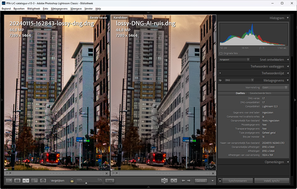 Vergelijk lossy DNG AI ruisreductie