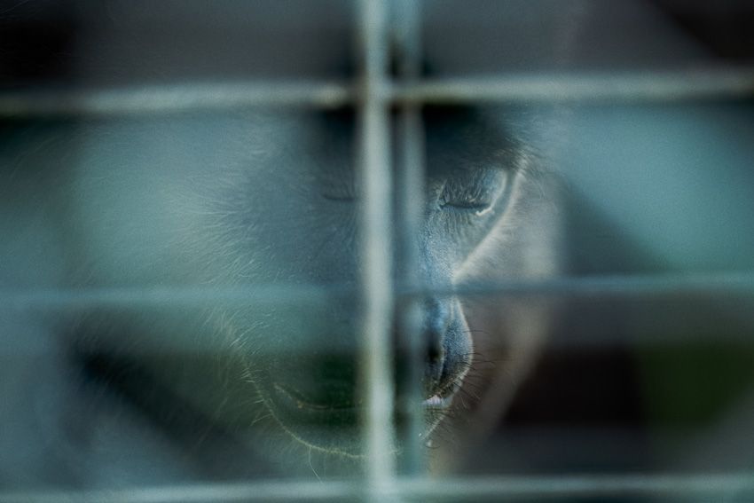 Â© Maria Portaluppi, Ecuador, 2nd Place, Professional competition, Environment, Sony World Photography Awards 2025   2
