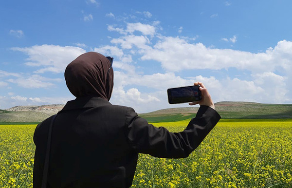 Smartphone landschap