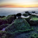 Natuurfotografie tip: Speel met sluitertijd in de branding Natuurfotografie tip: Speel met sluitertijd in de branding