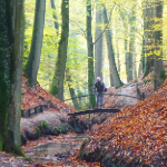 Natuurfotografie tip: Ontdek onbekende heuvelgebieden Natuurfotografie tip: Ontdek onbekende heuvelgebieden