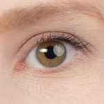 Maakt het uit hoe je catchlight eruit ziet? Maakt het uit hoe je catchlight eruit ziet?