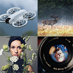 De nieuwste cursussen op Photofacts Academy