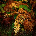 Verkeerde instellingen of niet de optimale instellingen Verkeerde instellingen of niet de optimale instellingen