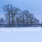 Enkele tips over fotograferen in de sneeuw Enkele tips over fotograferen in de sneeuw