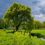 Alles in beeld brengen is bijna nooit nodig