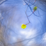 De lente in beeld - foto's van onze Photofacts Academy community De lente in beeld - foto's van onze Photofacts Academy community