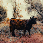 Waarom leren bewerken als je presets hebt? Waarom leren bewerken als je presets hebt?