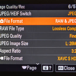 Is er kwaliteitsverschil tussen raw en gecomprimeerd raw? Is er kwaliteitsverschil tussen raw en gecomprimeerd raw?