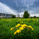 Voorkom onnodig lege delen in een foto Voorkom onnodig lege delen in een foto