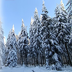 Natuurfoto tip: Sneeuw voorspellen met Windy Natuurfoto tip: Sneeuw voorspellen met Windy